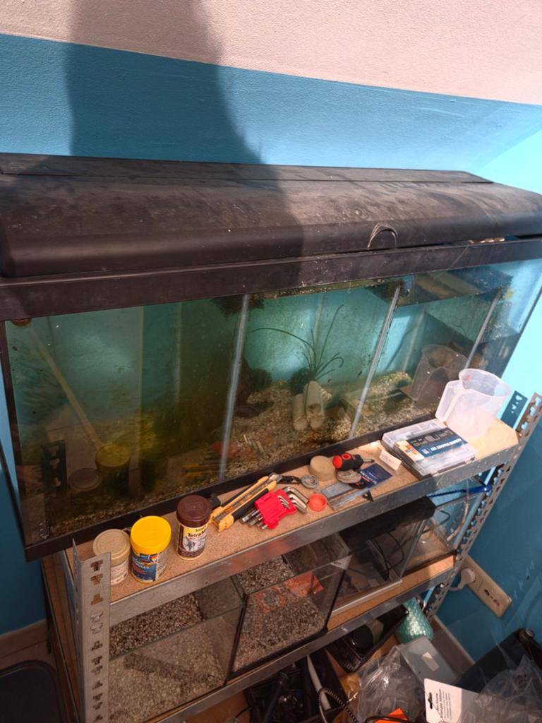 Aquariums gebruikt als kweek bakken, Dieren en Toebehoren, Ophalen of Verzenden