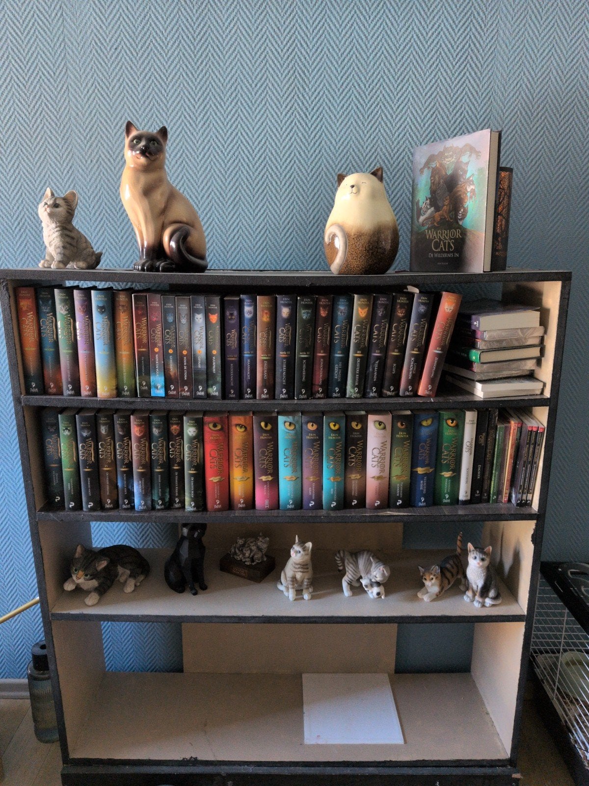 zie beschrijving voor prijzen erin Hunter verkoop voledige c, Ophalen of Verzenden, Erin Hunter