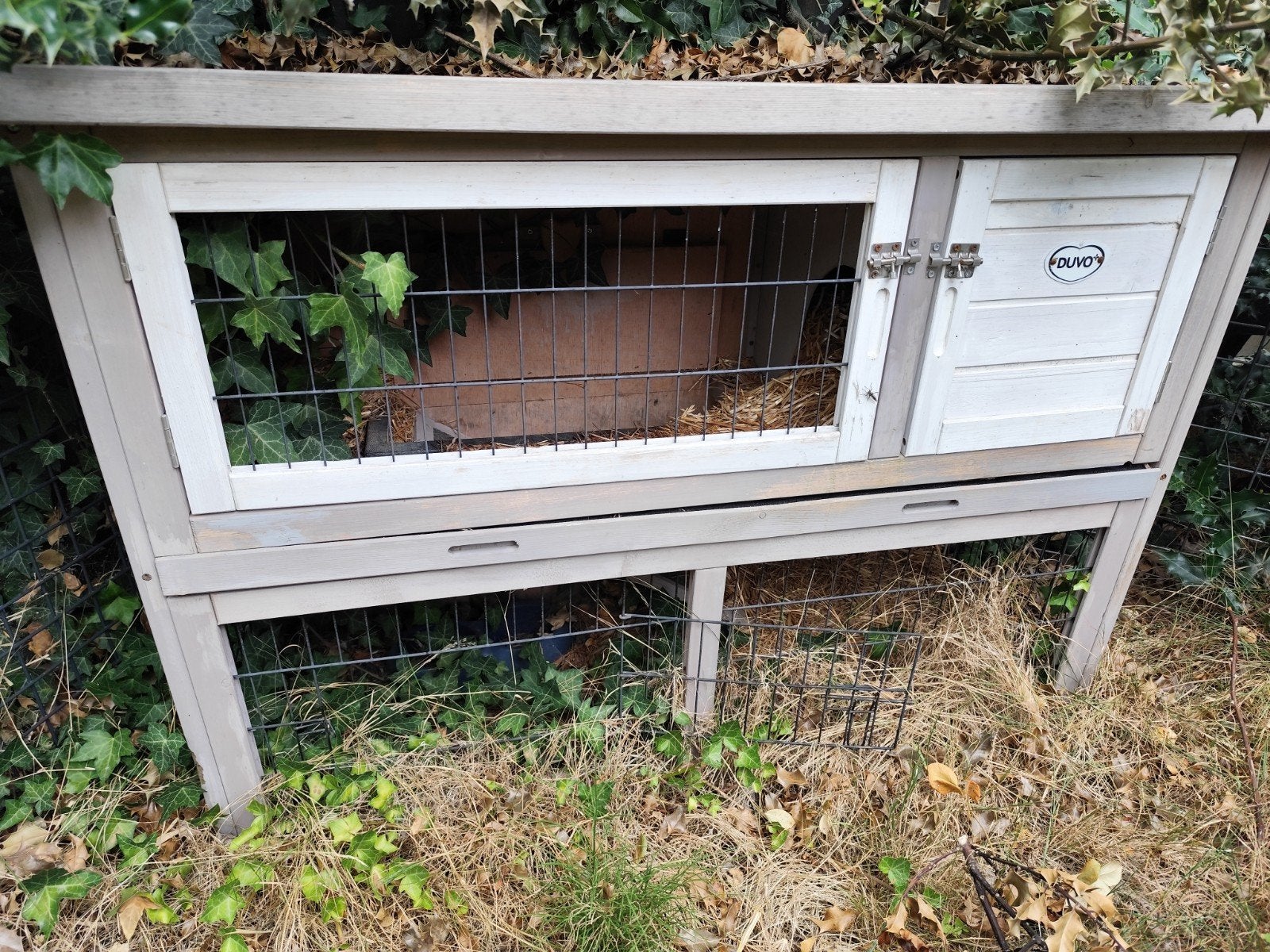konijnenhok, Dieren en Toebehoren, Ophalen