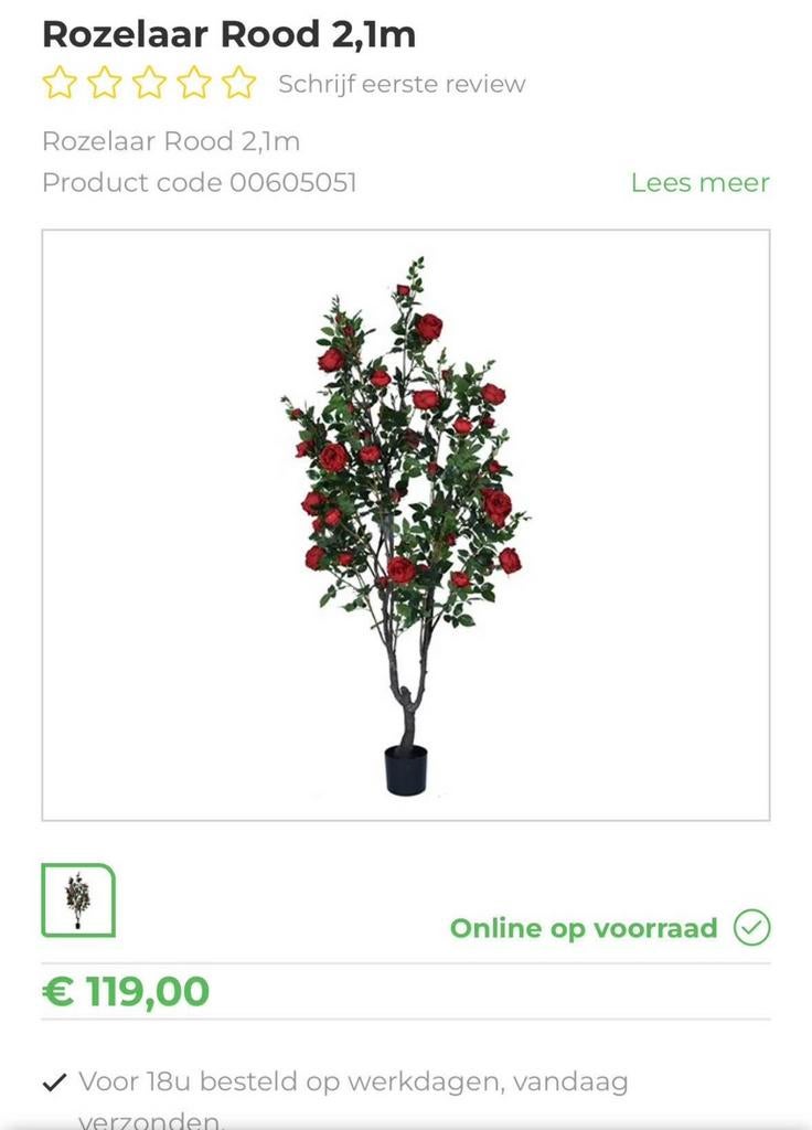 kunst Rozelaar Rood – 2,1 meter hoog, Tuin en Terras, Ophalen