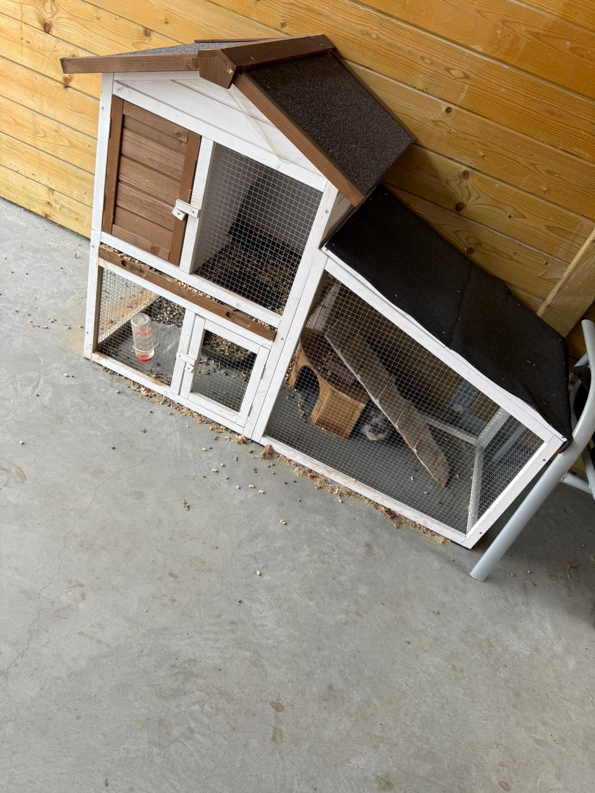 Dwergkonijn, Animaux & Accessoires, Enlèvement, Comme neuf, Niche, Lapin
