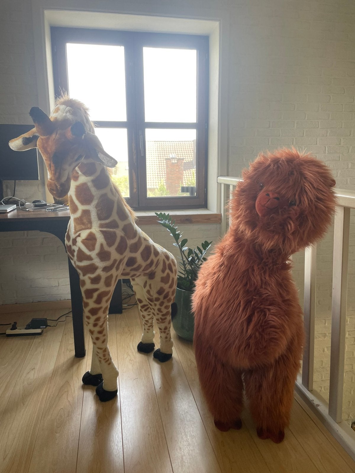 Decoratie dieren Griaf en Alpaca (samen of apart), Ophalen, Zo goed als nieuw