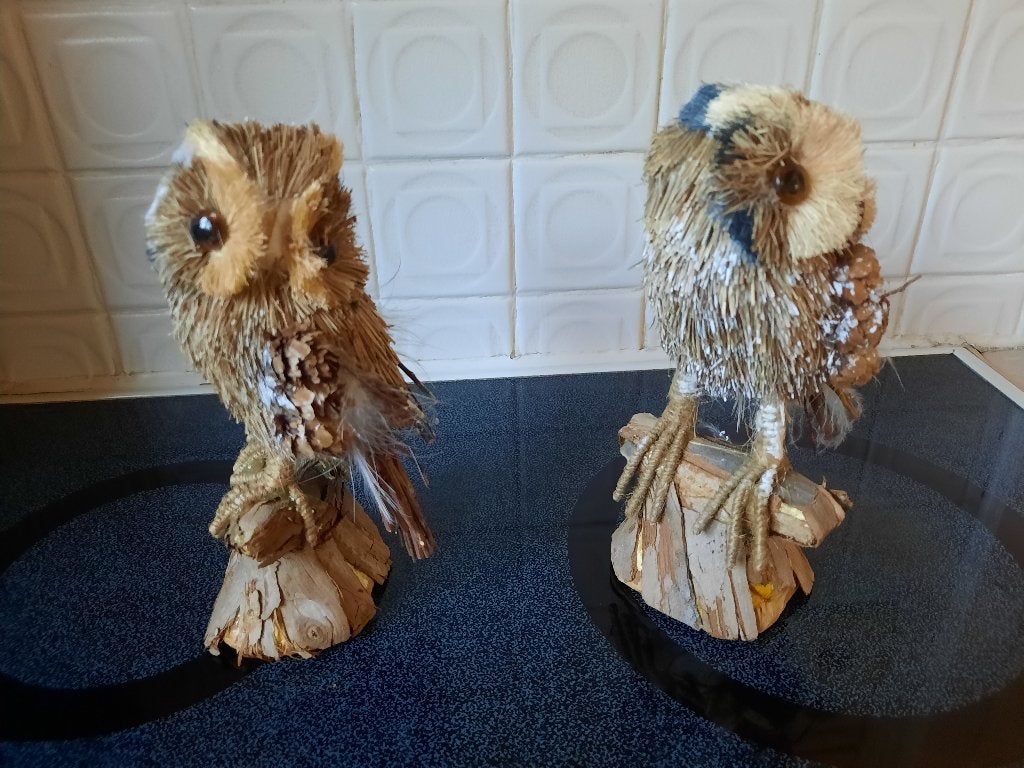 set uilen 20 cm mooi als herfst decoratie in huis, Huis en Inrichting, Woonaccessoires | Overige, Ophalen of Verzenden