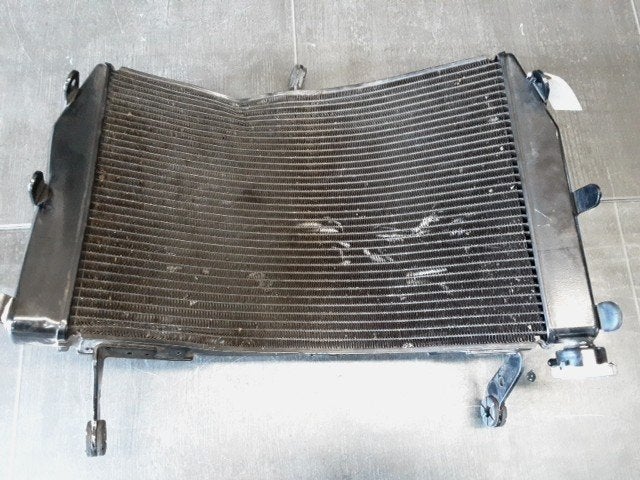 GSX-S 1000 (F) 2015 - 2020 Suzuki Radiator D1-61865