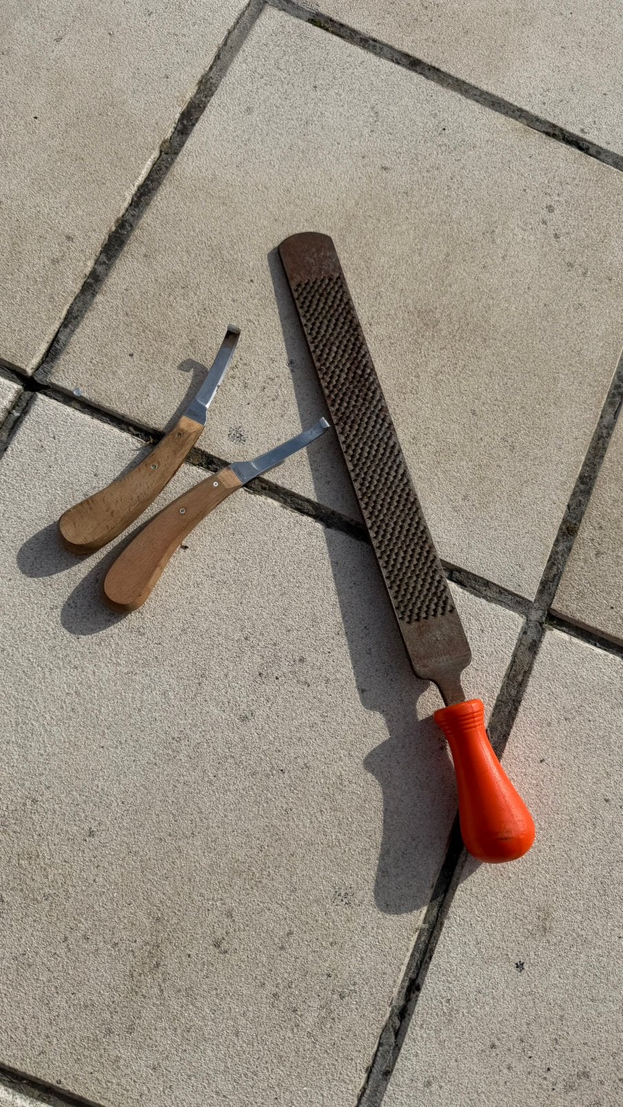 Hoefrasp + 2 hoefmessen – hoefverzorging paard, Ophalen of Verzenden, Gebruikt, Hoefverzorging