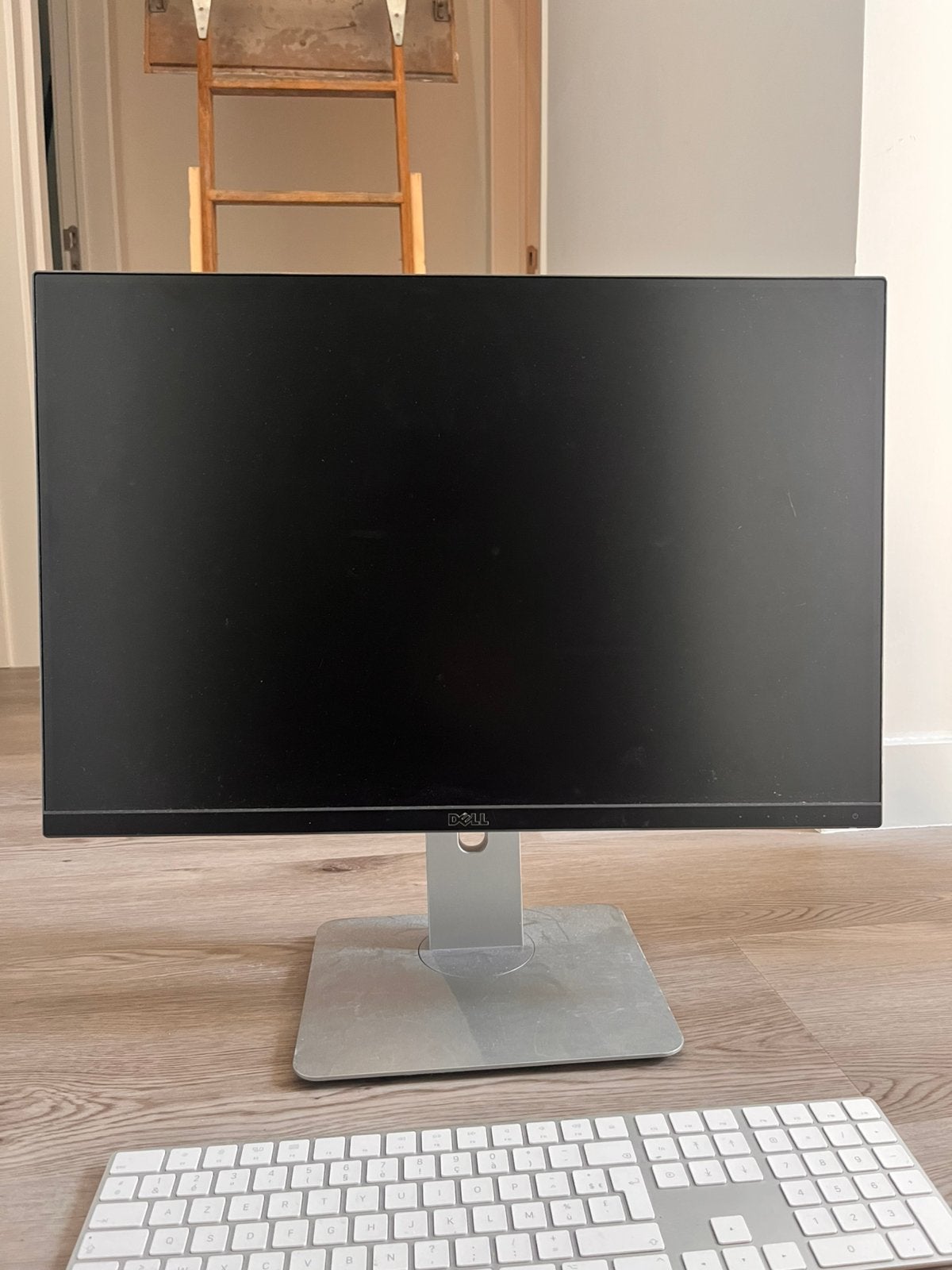 DELL scherm, apple klavier en apple muis, Ophalen, Zo goed als nieuw