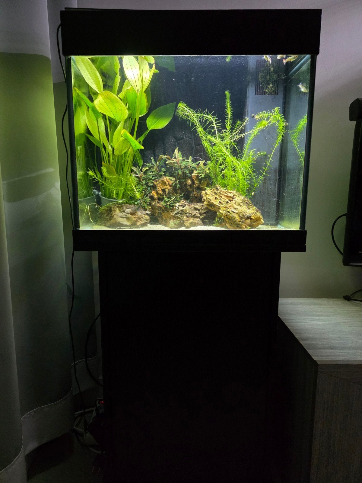 Juwel lido 120 met kast, Enlèvement, Utilisé, Filter, Juwel