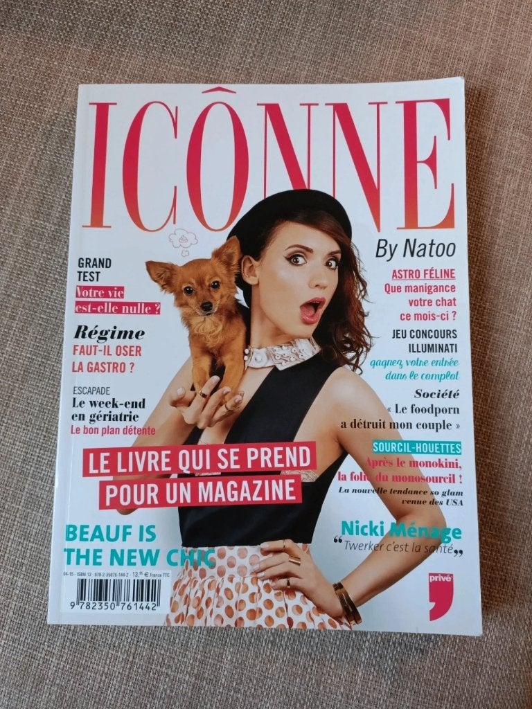 Icône – Natoo – Éditions Privé, Livres, Littérature, Enlèvement ou Envoi, Utilisé