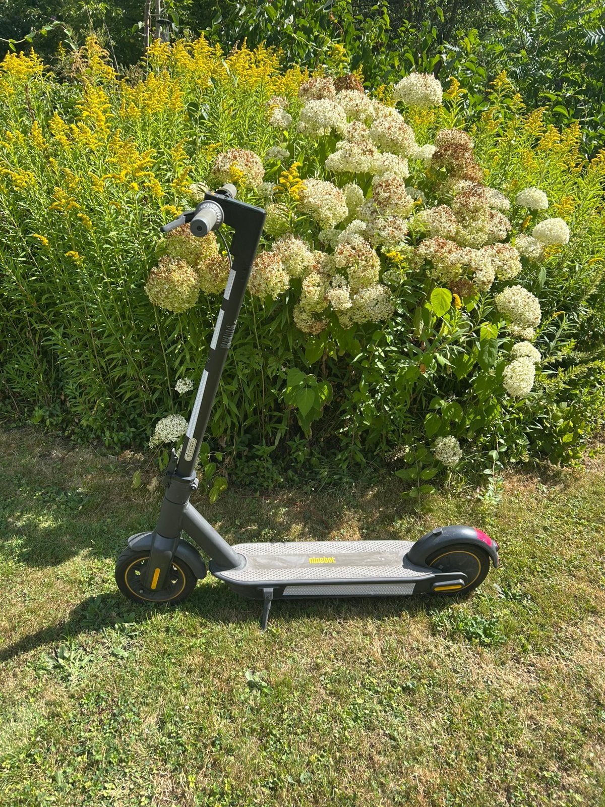 EStep Ninebot, Vélos & Vélomoteurs, Trottinettes, Enlèvement, Utilisé, Step électrique (E-scooter)