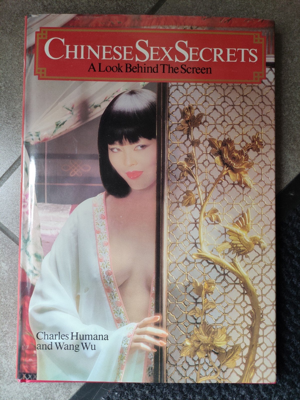 Bonne affaire : secrets sexuels chinois, Enlèvement ou Envoi
