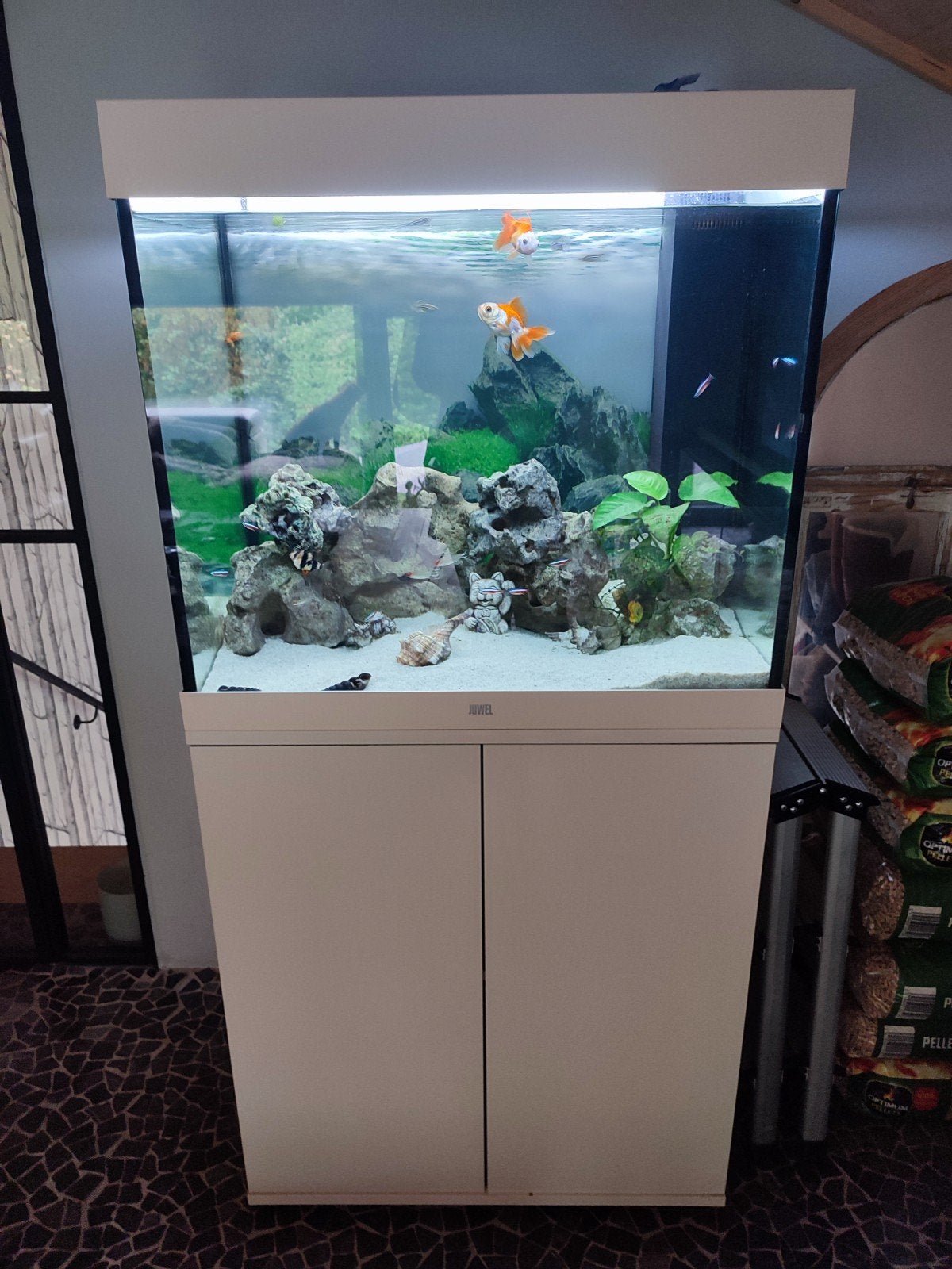 aquarium juwel 200 l, Ophalen, Juwel