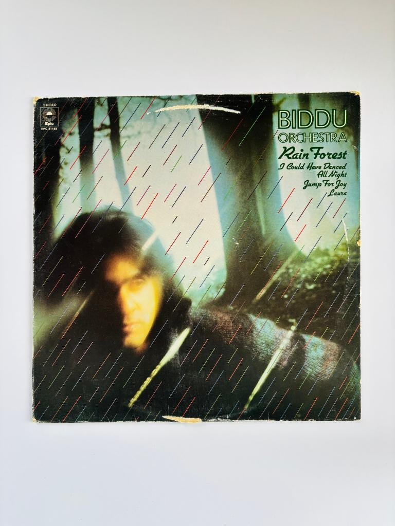 Biddu Orchestra – Rain Forest (LP disco Epic), CD & DVD, Vinyles | Dance & House, Enlèvement, Utilisé, 12 pouces, Disco