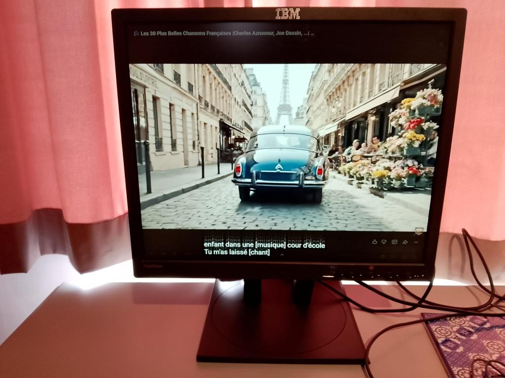 BEELDSCHERM IBM ThinkVision 17" BEELDSCHERM, Ophalen, Gebruikt, In hoogte verstelbaar, VGA