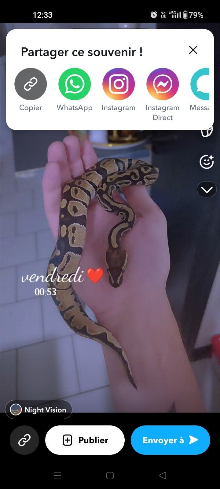 Baby met 2 pythons plus uitgerust terrarium, Dieren en Toebehoren, Ophalen