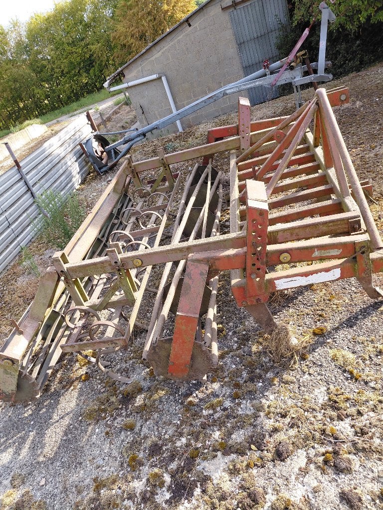 vastetand cultivator, Mei, Mannelijk