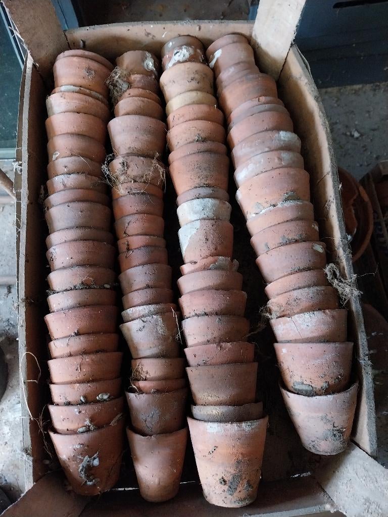 Handgemaakte kleine oude terracotta bloempotjes, Ophalen