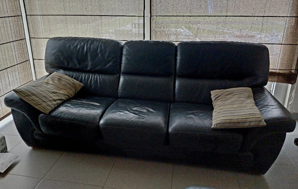 Salon, Ophalen, Gebruikt, Driepersoons, Leer