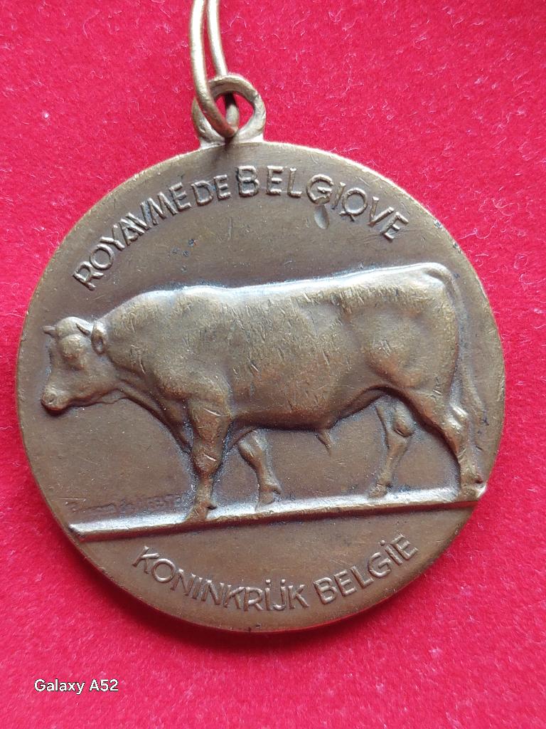 bronzen medaille België: Ministerie van Landbouw 1962, Ophalen of Verzenden, Brons