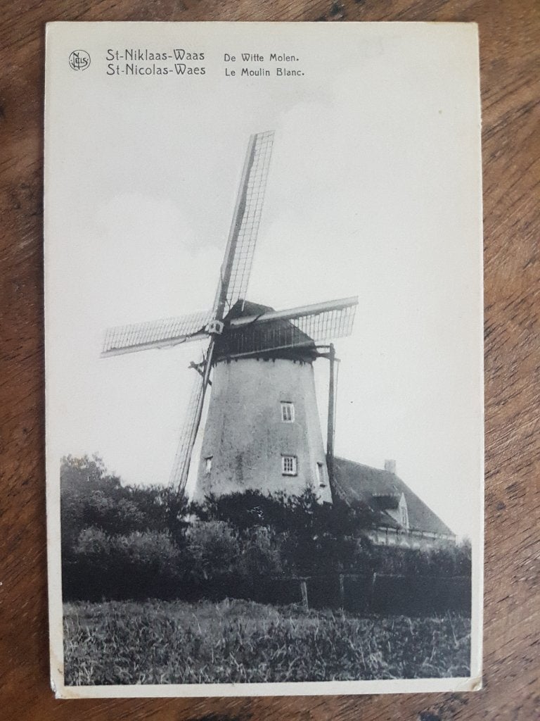 Postkaart Sint St-Niklaas-Waas De Witte Molen Windmolen, Verzamelen, Ophalen of Verzenden, 1940 tot 1960, Ongelopen, Oost-Vlaanderen