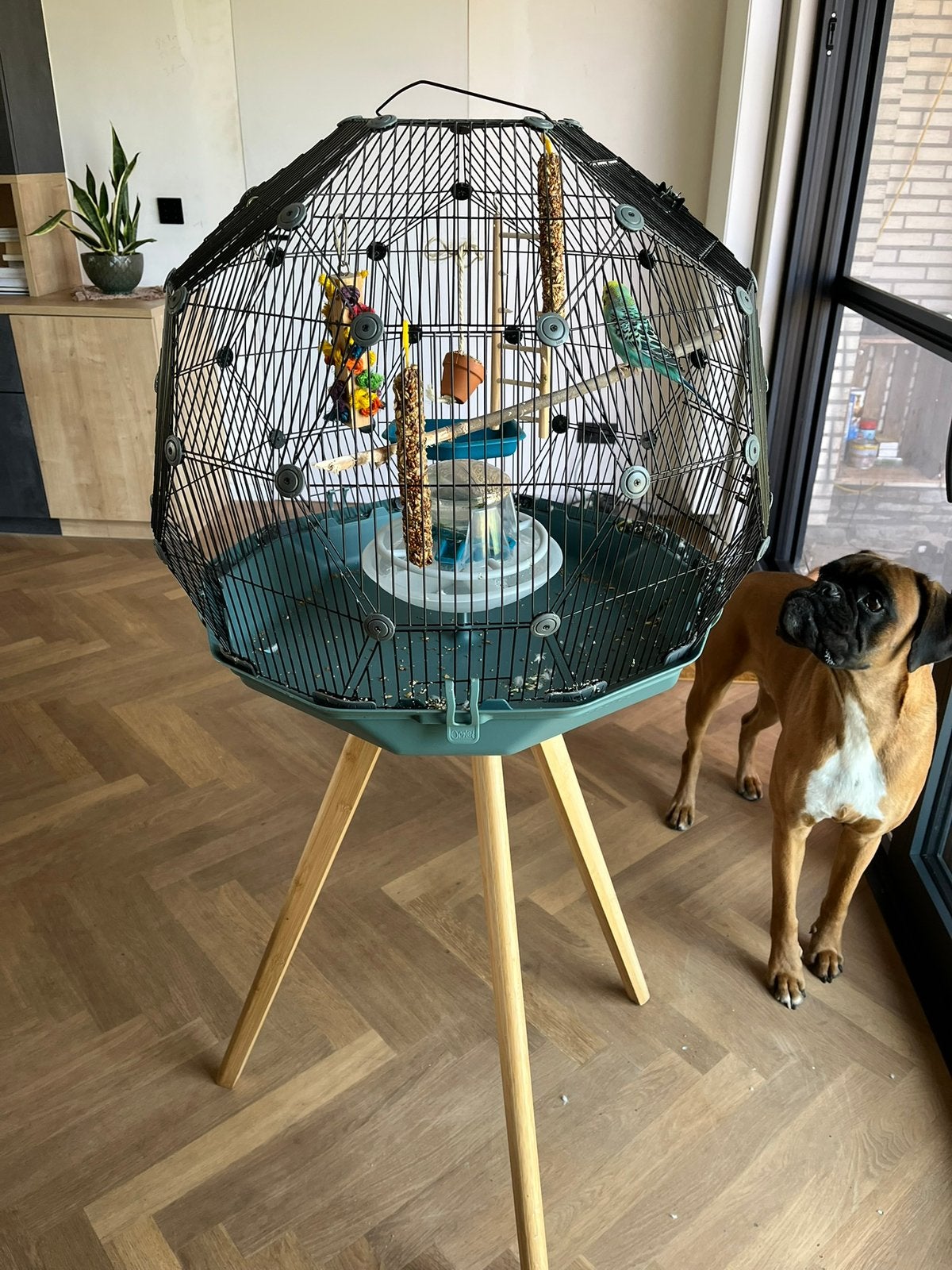 Vogelkooi (Omlet), Ophalen, Gebruikt, Vogelkooi