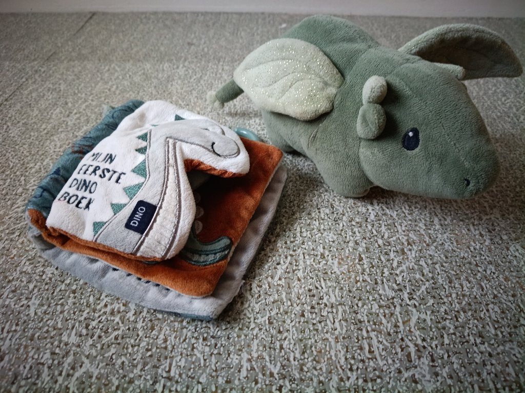 Dino setje boek en knuffel, Ophalen, Groen, Overige merken, Zo goed als nieuw