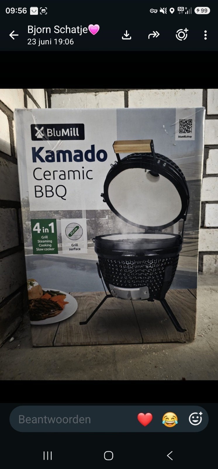 Blumill kamado ceramic bbq 4 in 1, Enlèvement ou Envoi, Neuf, Blumill, Avec accessoires