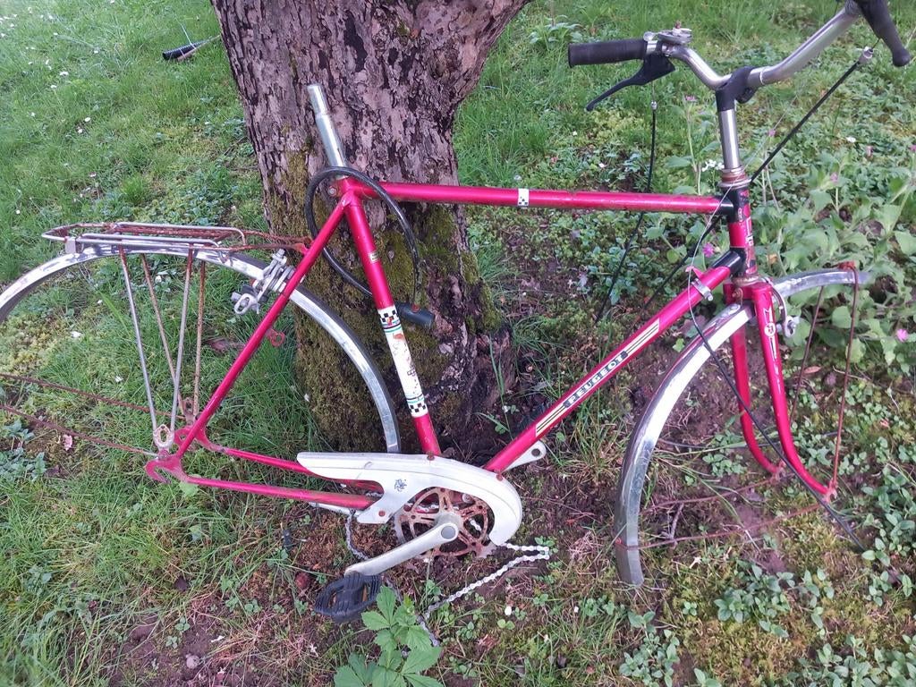 Cadre vélo peugeot course vintage, Enlèvement