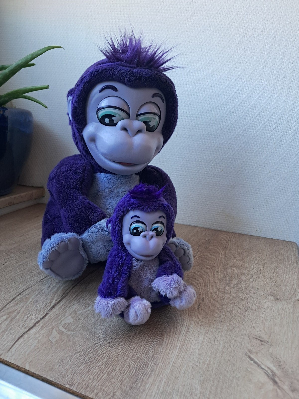 Singes, Ophalen