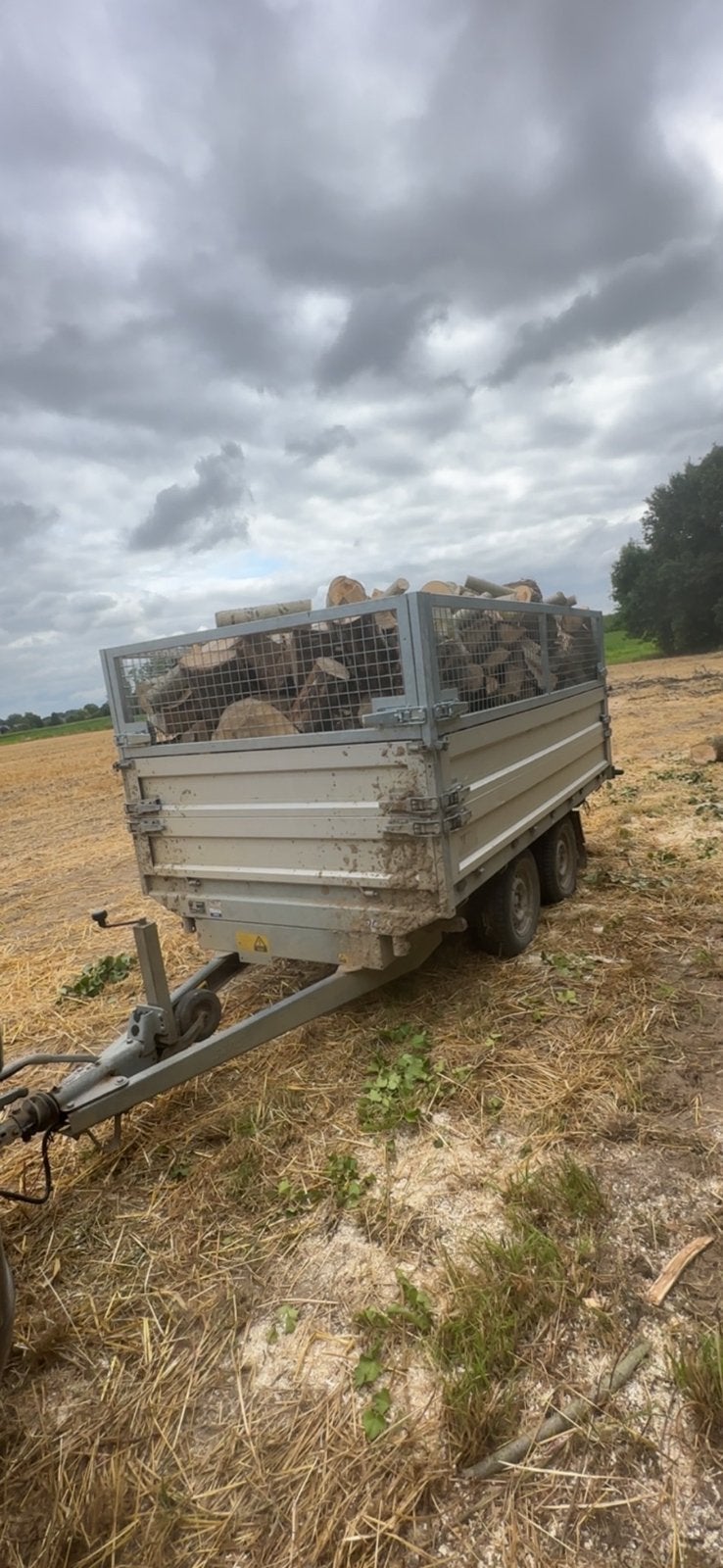 Populieren hout op rollen, Ophalen, Zo goed als nieuw