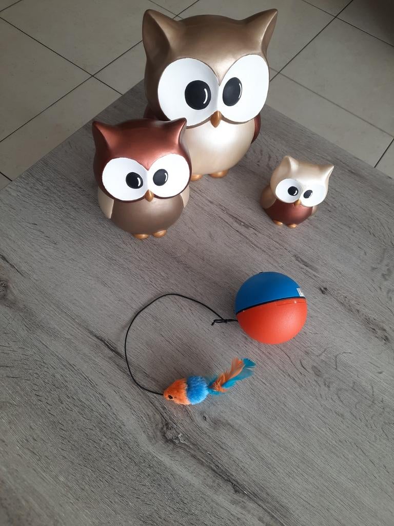 Kattenspeeltje, Ophalen of Verzenden