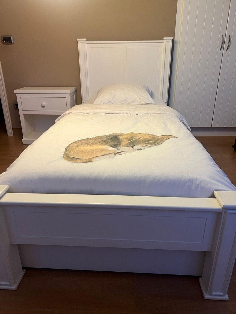 Bed 90x200 met uitschuifbare lade en nachtkastje, Huis en Inrichting, Slaapkamer | Bedden, Ophalen, Gebruikt, 90 cm, Eenpersoons