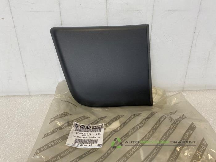 Bande décorative d'un Citroen Jumper, -, 3 mois de garantie, Utilisé, -