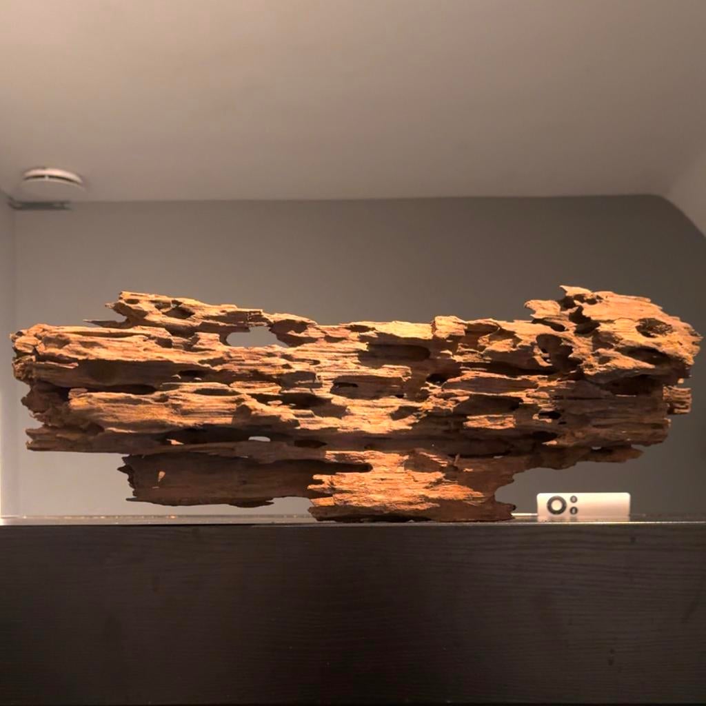 Groot stuk Dragonwood / Kienhout / Spiderwood Hout Decoratie, Dieren en Toebehoren, Ophalen of Verzenden, Zo goed als nieuw, Decoratie