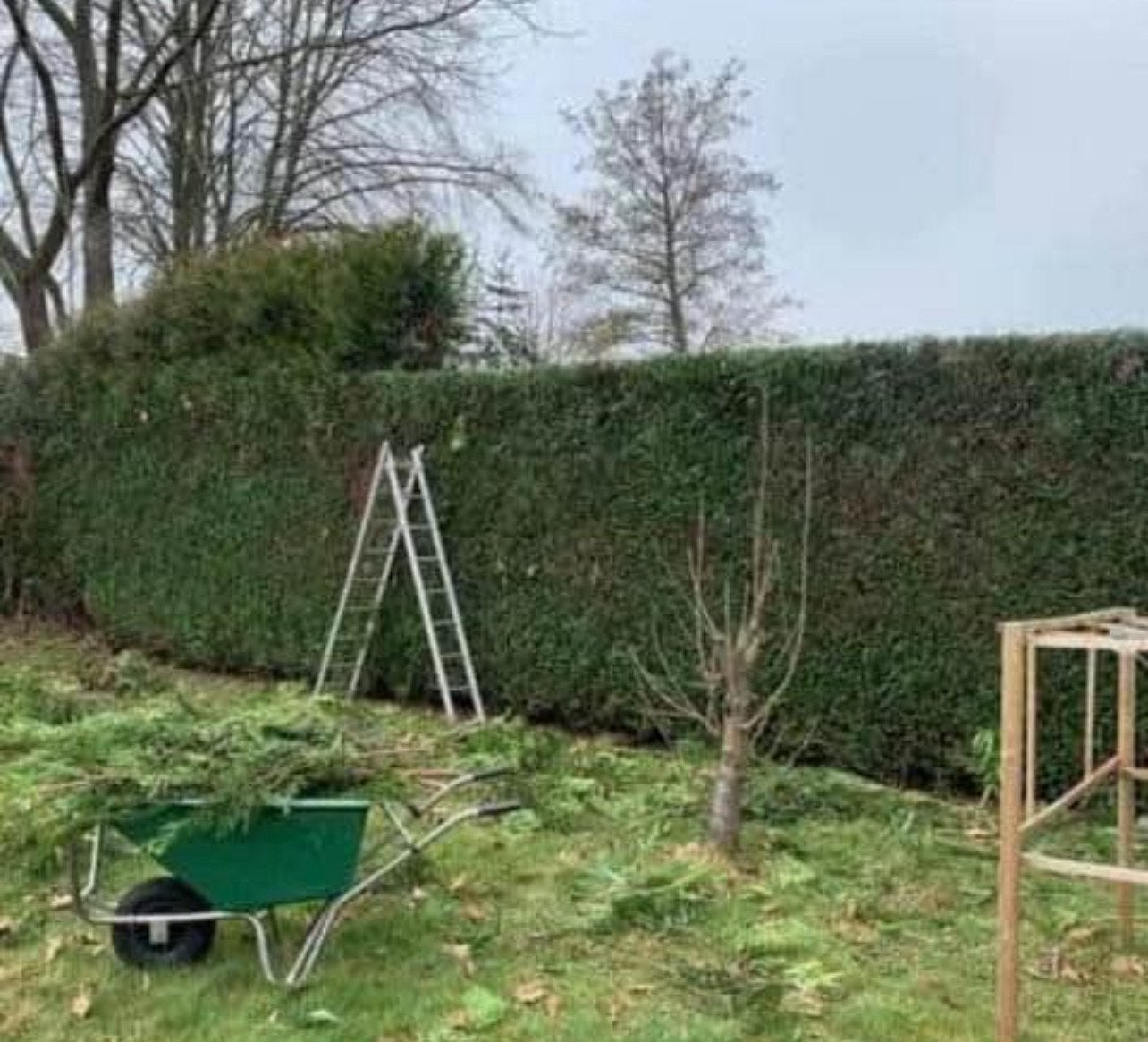 L’entretien de jardin, Jardin & Terrasse, Enlèvement ou Envoi, Neuf, Synthétique