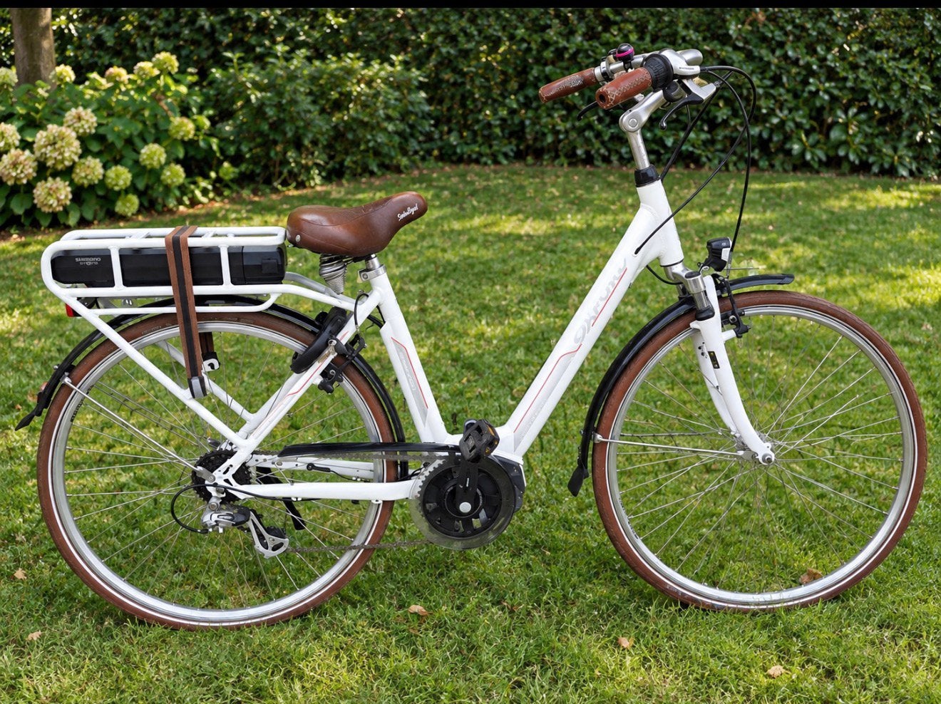E-bike, Fietsen en Brommers, Ophalen, Zo goed als nieuw, Overige merken