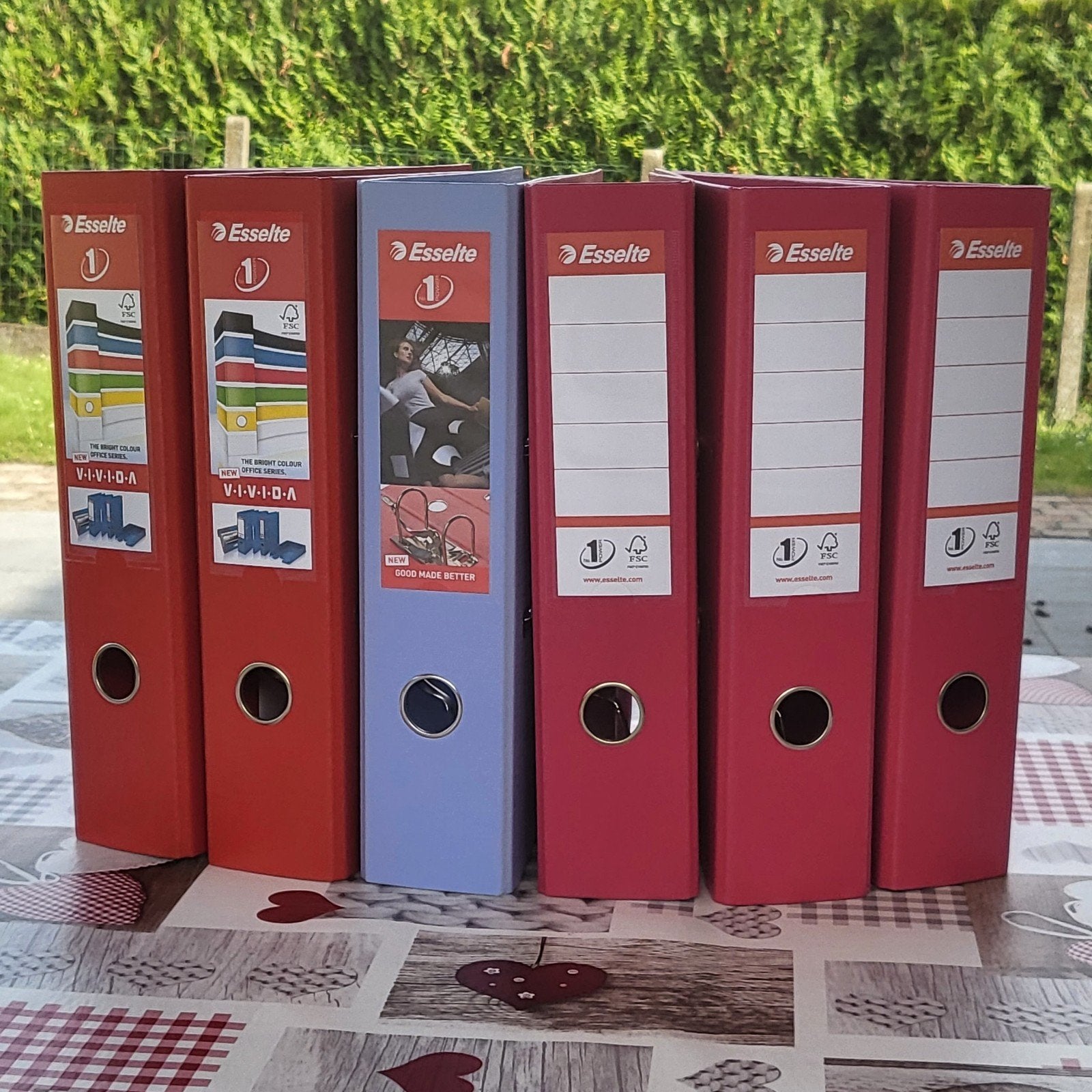 Classeurs à anneaux avec levier Esselte Neufs, jamais utilis, Enlèvement ou Envoi