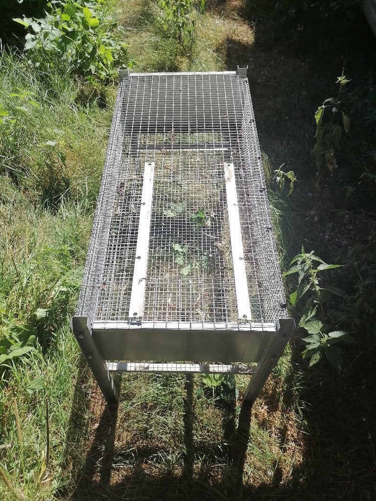2 kwartelkooien/opfokkooien, Dieren en Toebehoren