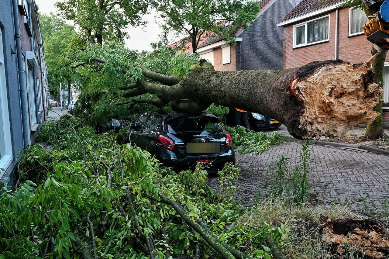 Stormschade opkuisen, Ophalen
