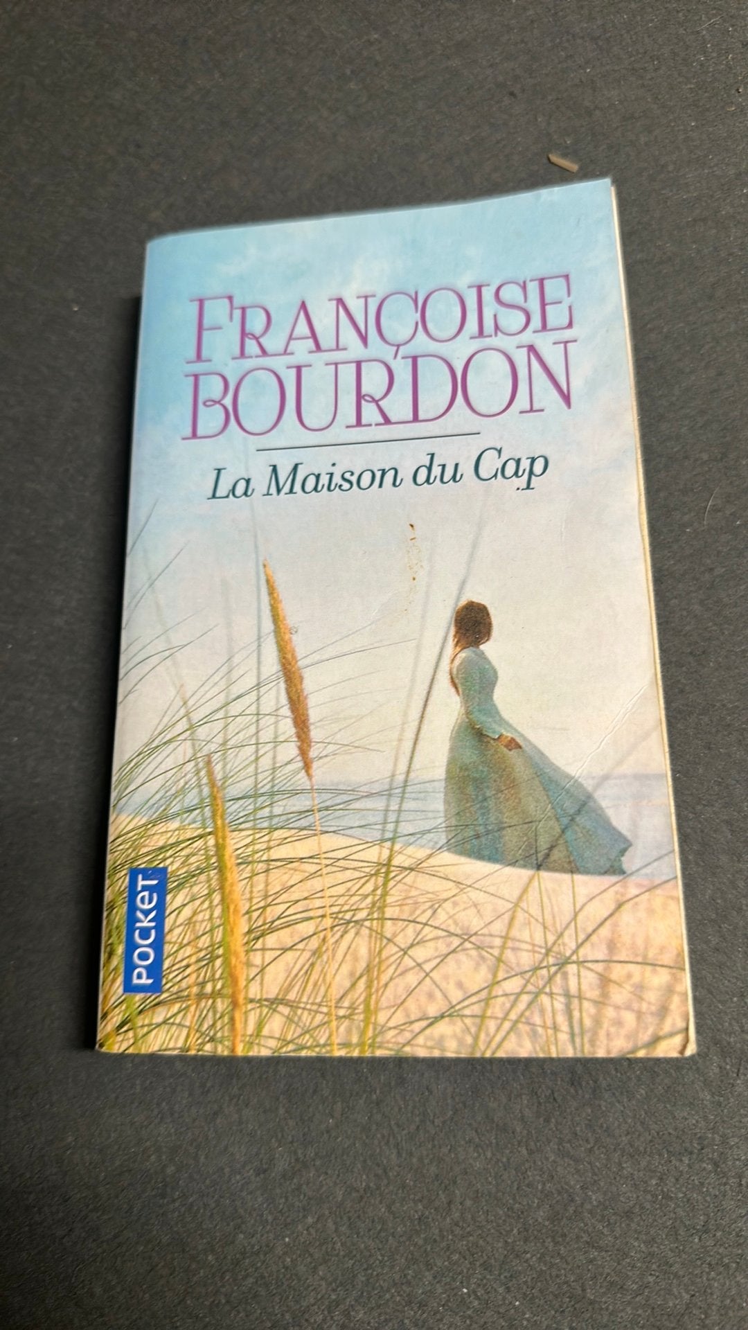La maison du Cap de Françoise Bourdon, Enlèvement ou Envoi, Comme neuf