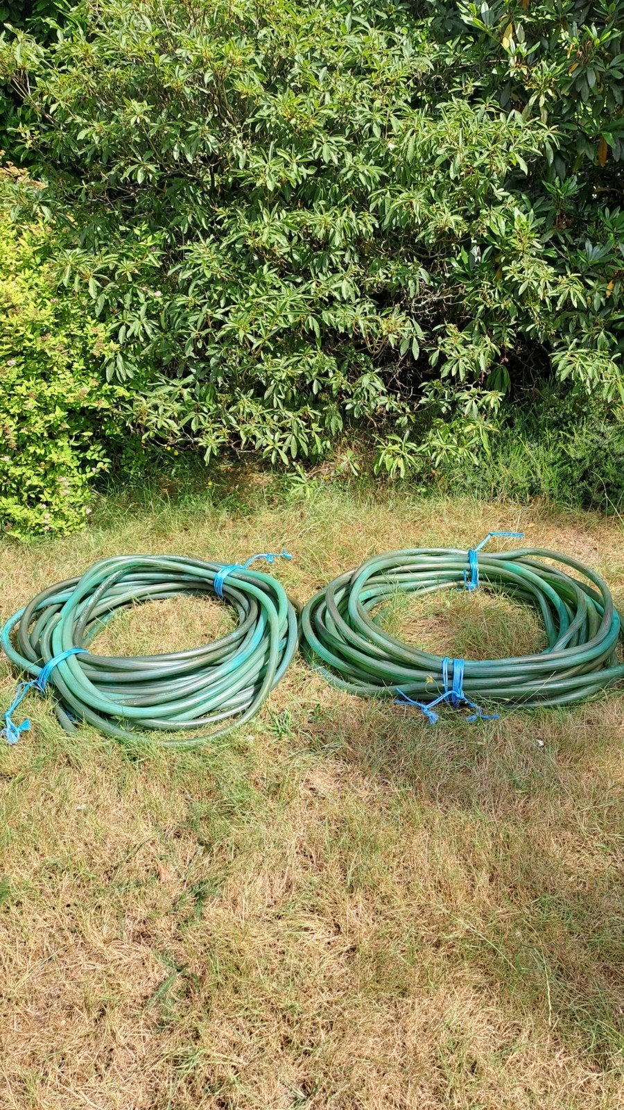 Tuinslangen,groen, stevig., Ophalen