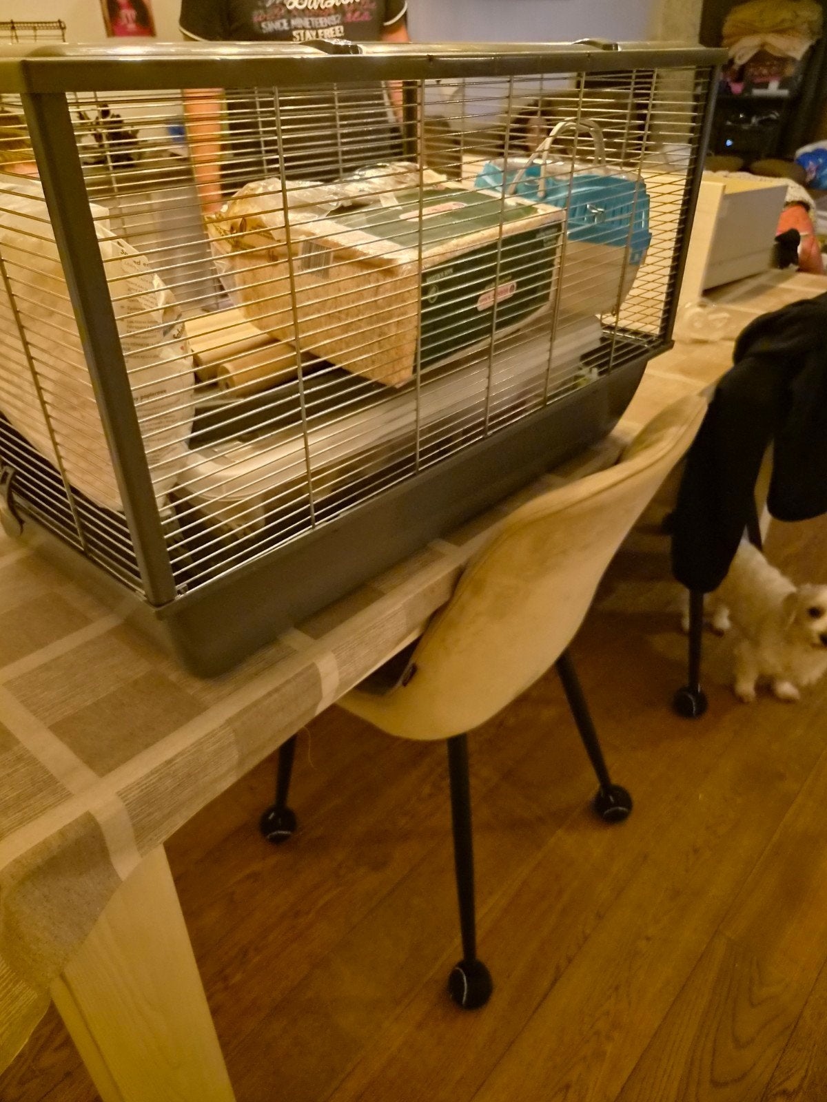 hamsterkooi met toebehoren, Ophalen, Gebruikt, Kooi, Hamster