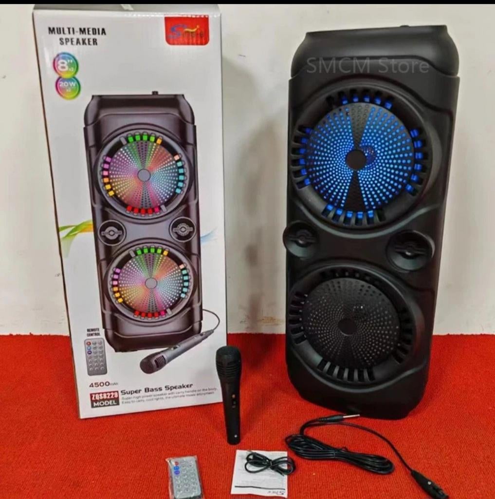 Baffle enceinte Bluetooth karaoké avec micro