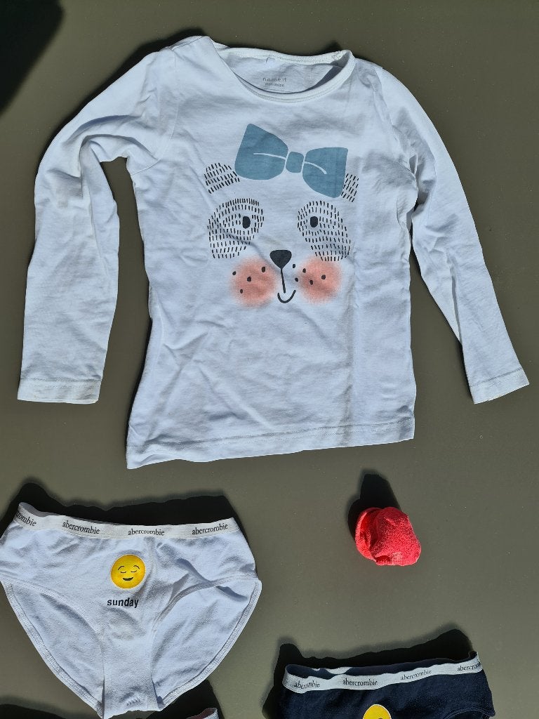 t-shirt, longsleeve, Name It, 110, Kinderen en Baby's, Kinderkleding | Maat 110, Ophalen, Zo goed als nieuw