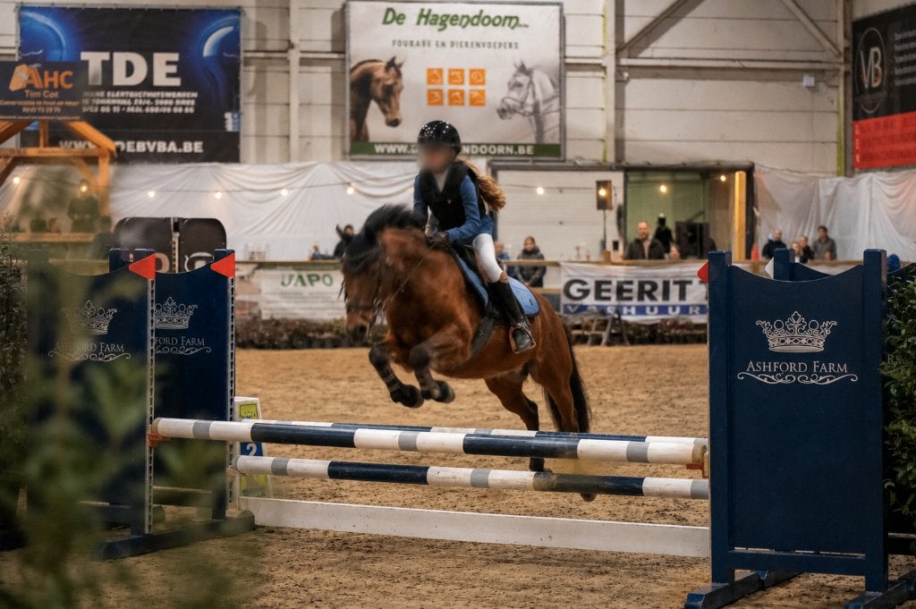 GEZOCHT D Springpony, Springpony