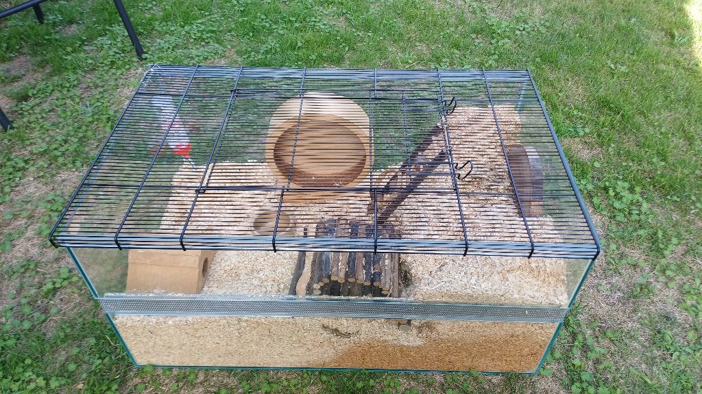 Hamsterkooi, Dieren en Toebehoren, Kooi, Hamster, Zo goed als nieuw, 75 tot 110 cm