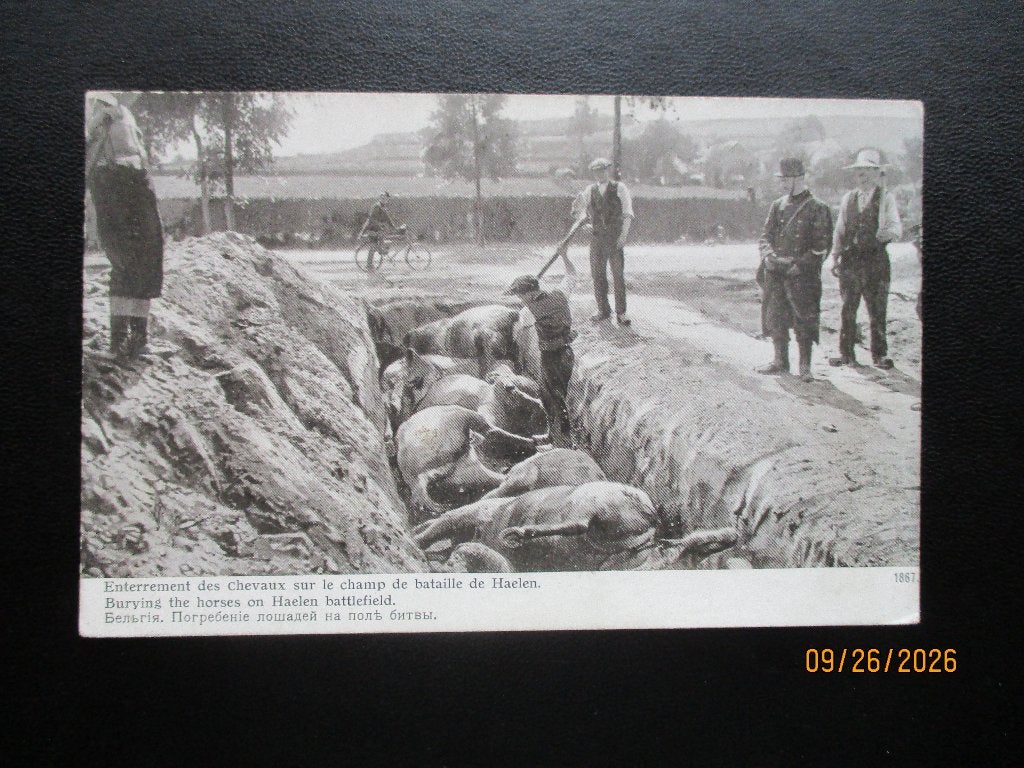PK. Slag bij Haelen. Begraven paarden, Verzamelen, Ophalen of Verzenden