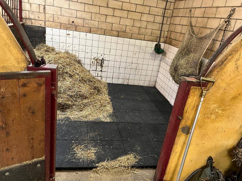 12 rubberen stalmatten, Dieren en Toebehoren, Ophalen, Zo goed als nieuw