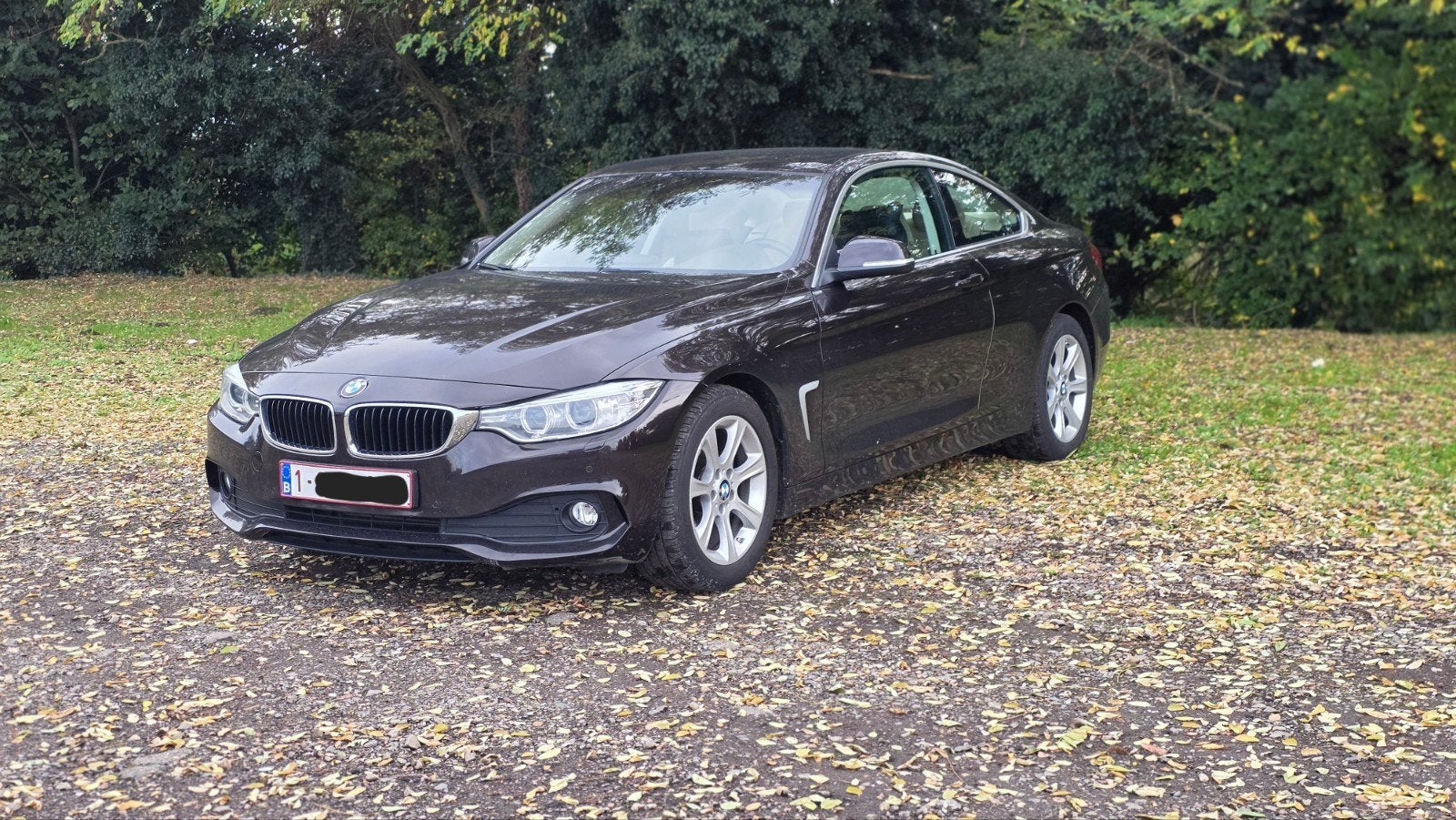 BMW 4-serie, Auto's, BMW, 4 zetels, Achterwielaandrijving, 4 cilinders, Bruin