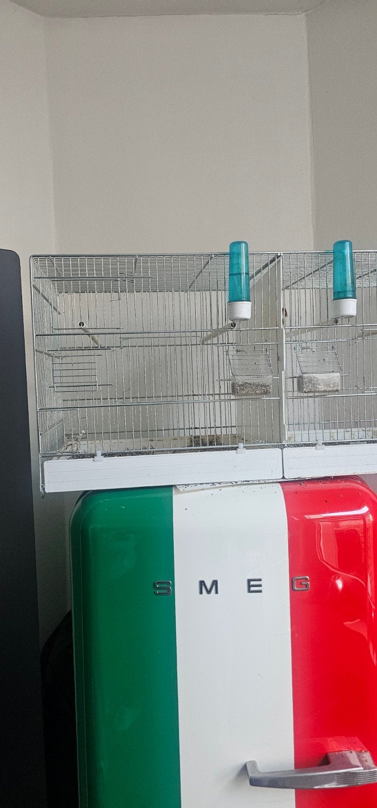 cage, Animaux & Accessoires, Enlèvement