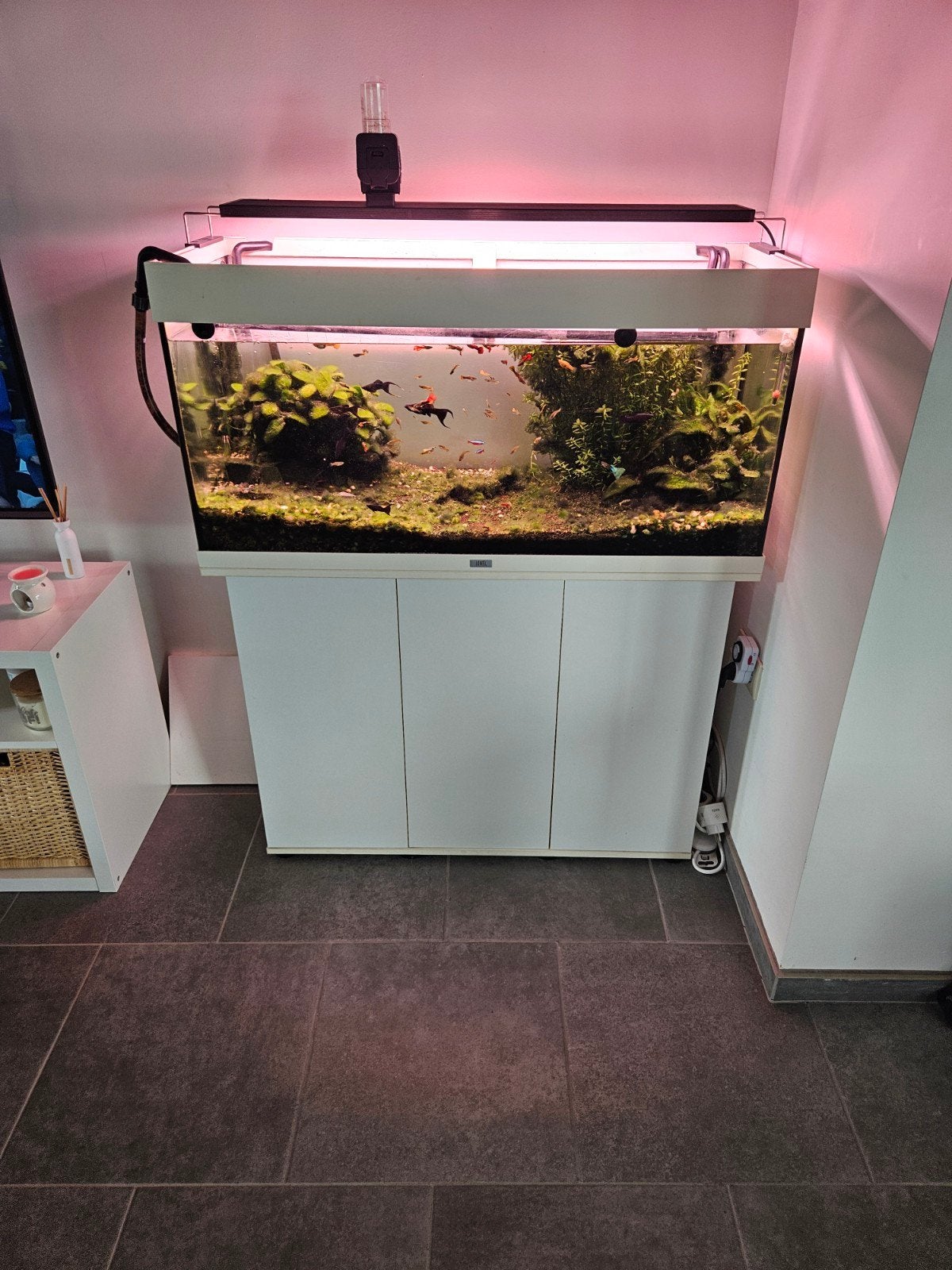 Juwel Rio 180 met externe verlichting van chihiros WRGB 2,, Ophalen, Inclusief vissen, Gebruikt, Gevuld zoetwateraquarium
